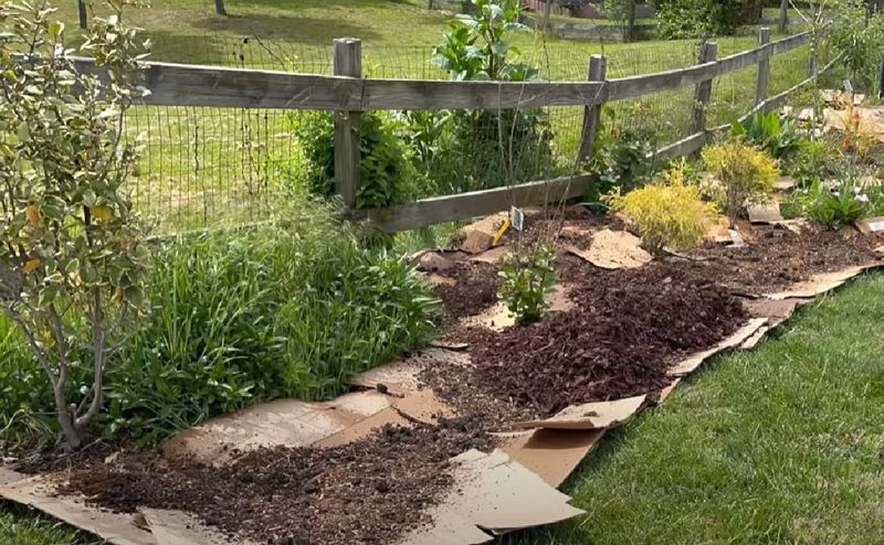 Use Cardboard Sheet Mulching
