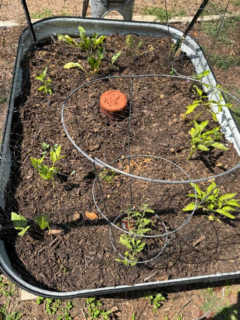 Combine With Compost