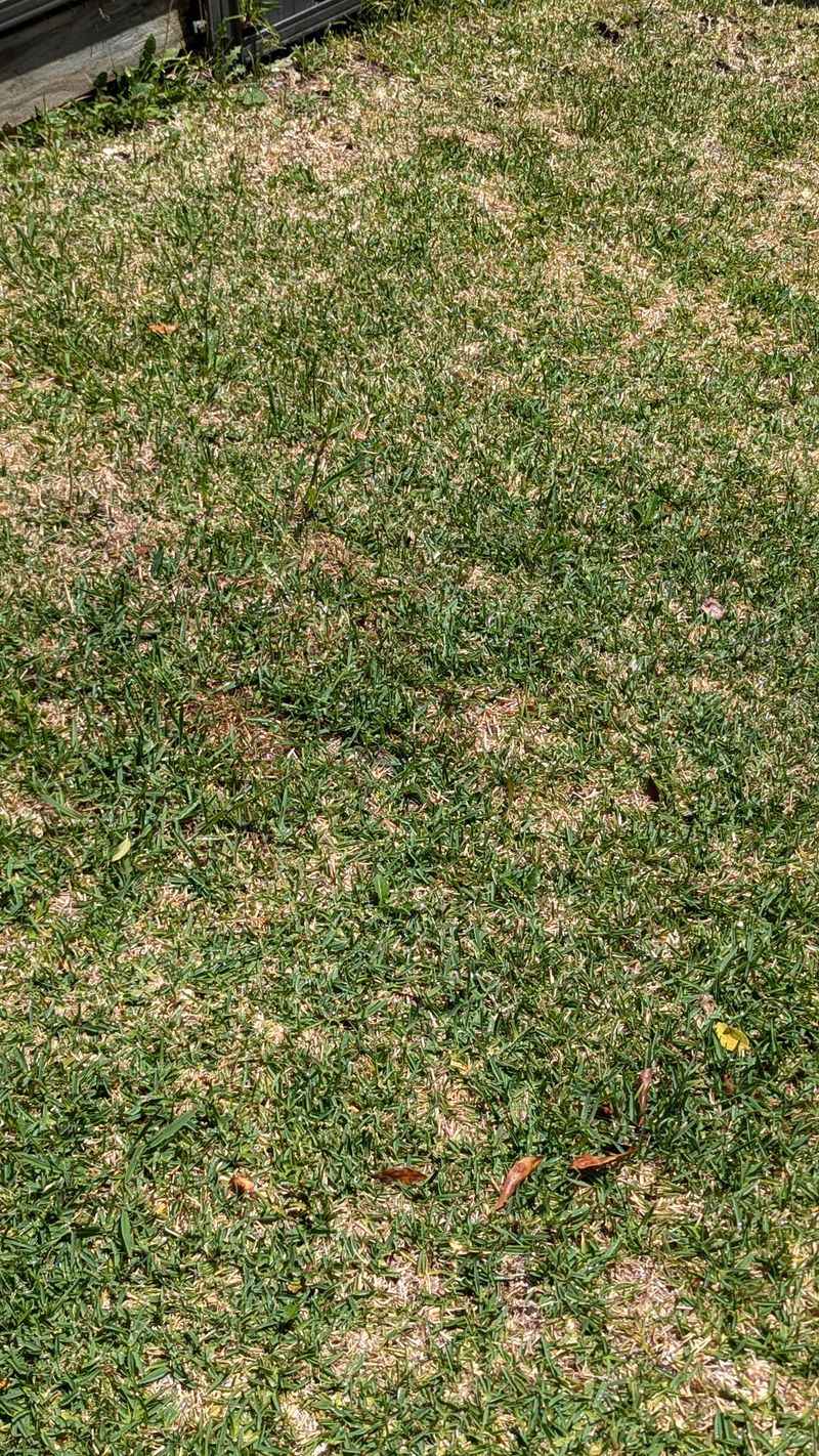 Watering Aid For Dry Spots