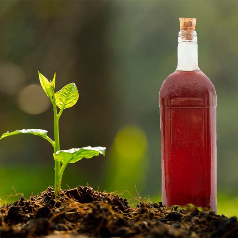Cleaning Vinegar Alters Soil Chemistry