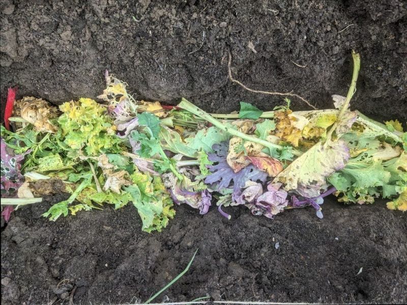 Create A Compost Trench Between Garden Rows