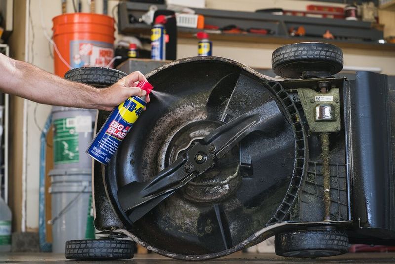 Forgetting to Clean Your Mower
