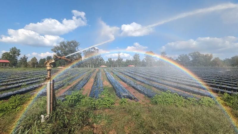 Using Overhead Sprinklers