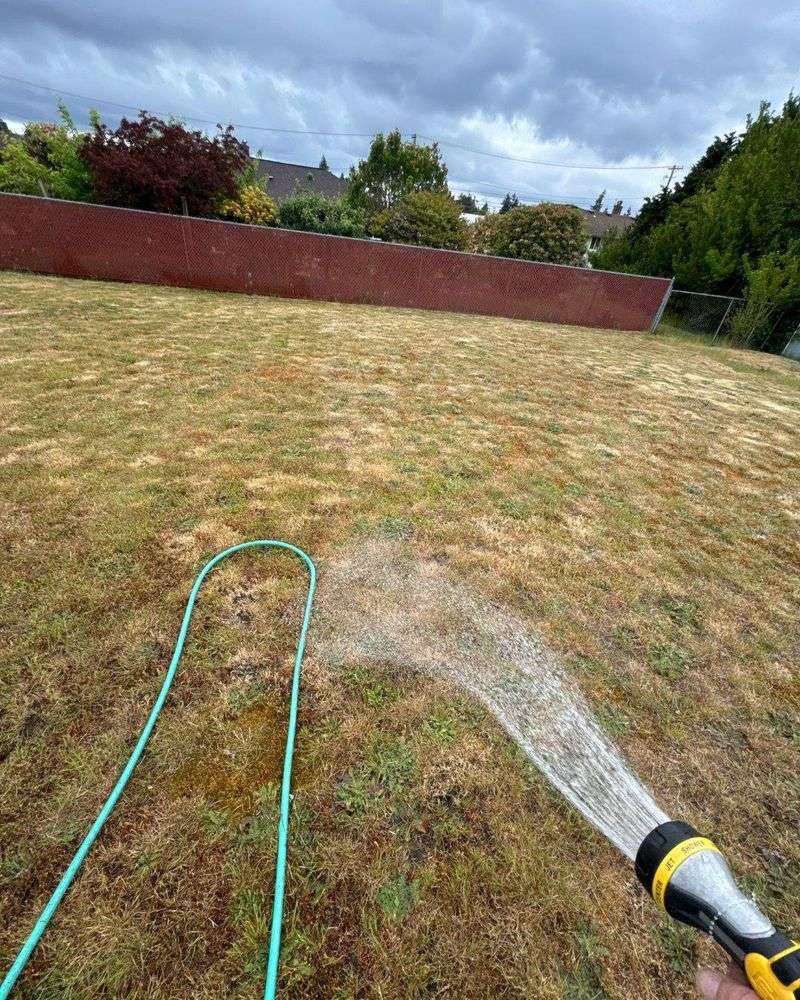Strategic Watering Practices