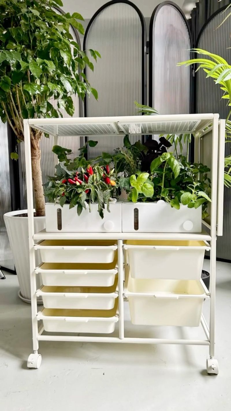 Vertical Garden from Lounge Frame