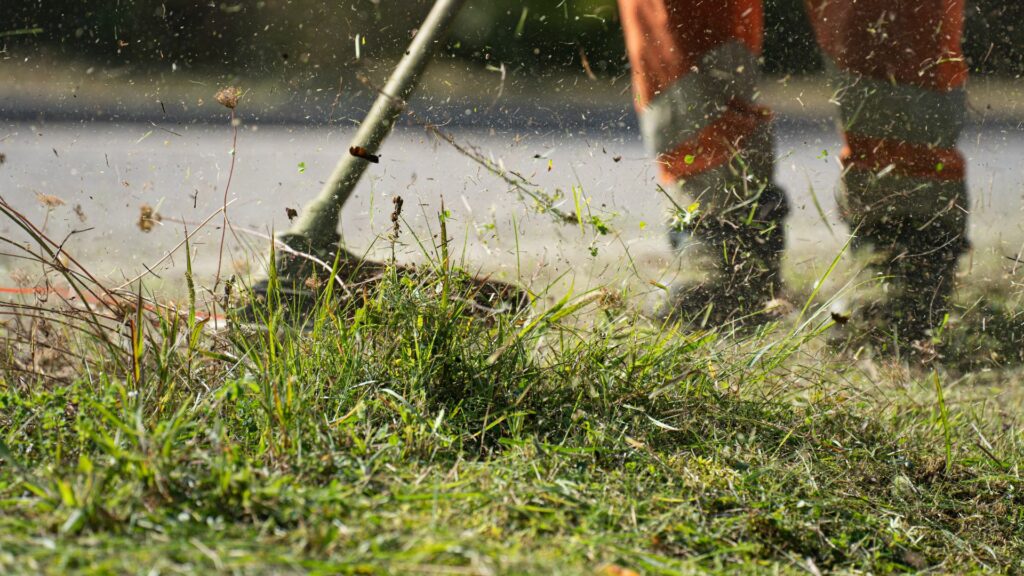 Grass Clippings