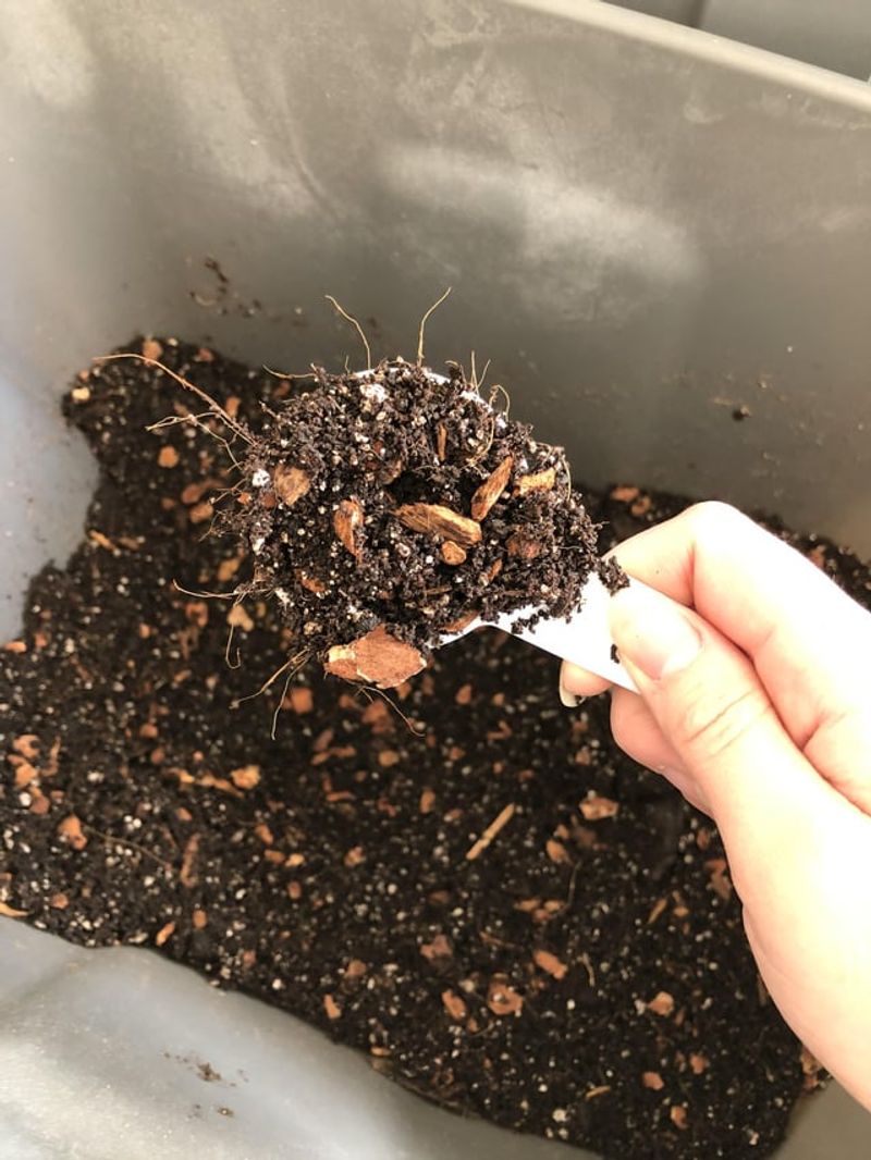 Worm Casting Enrichment