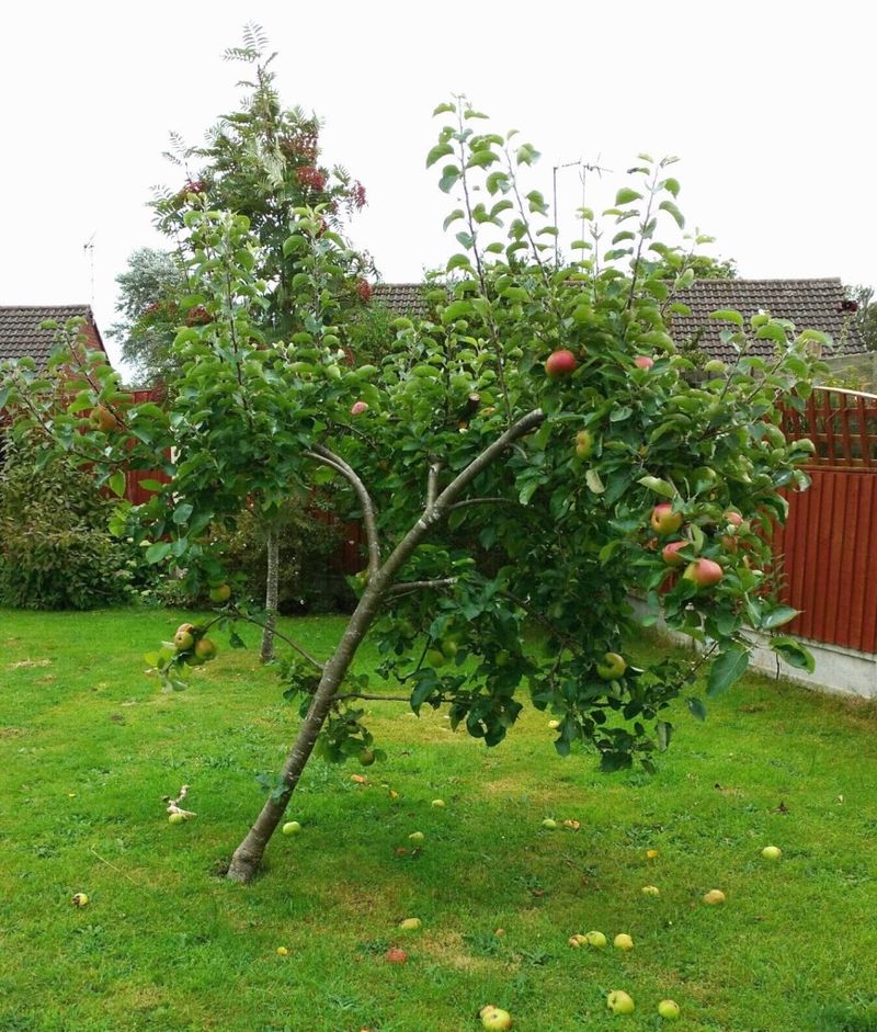 Support Heavy Branches