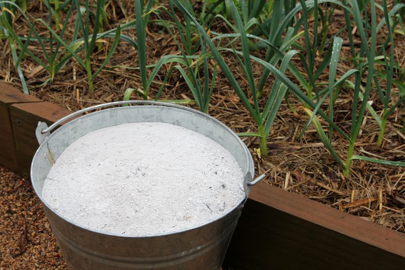 Try Wood Ash For Potassium