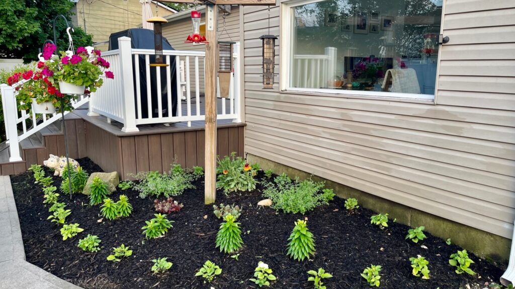 mulch in flower bed