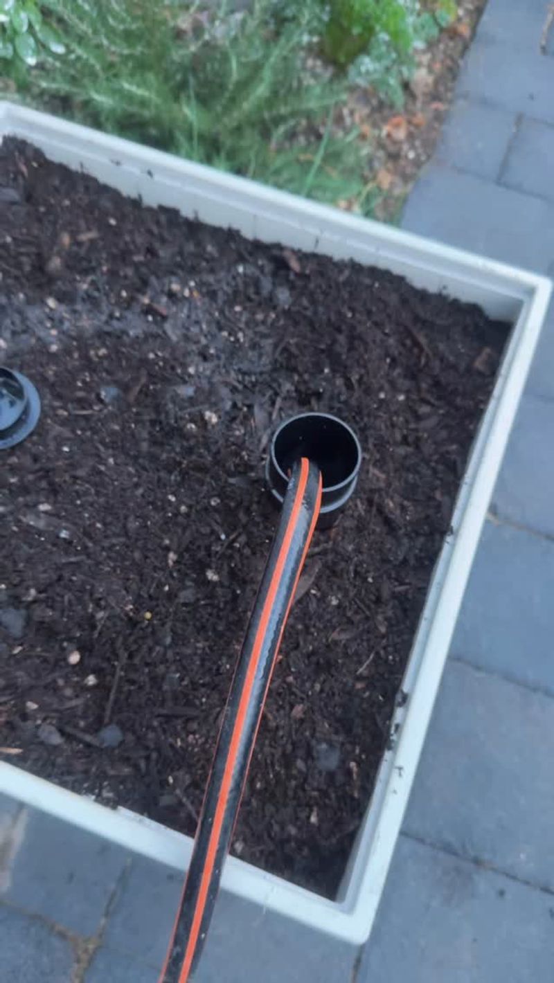 Self-Watering Bucket System