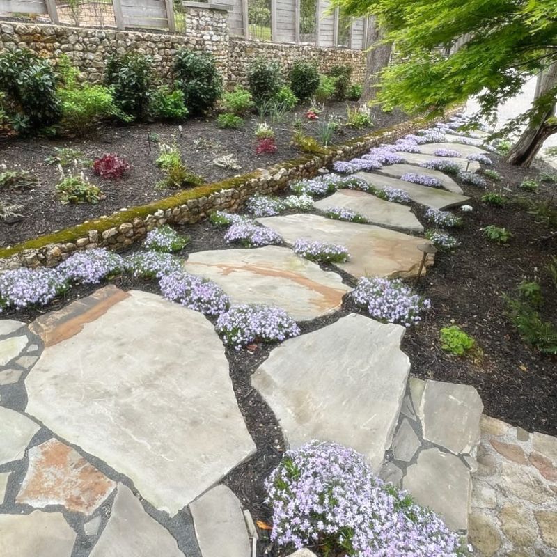Dog Path Prevention With Hardy Ground Covers