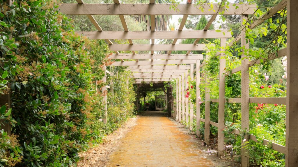 Narrow Trellis Walkways