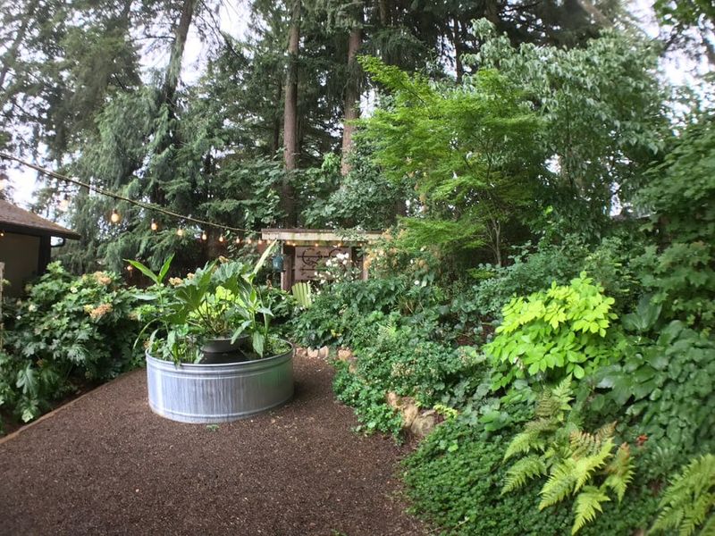 Layered Native Plantings