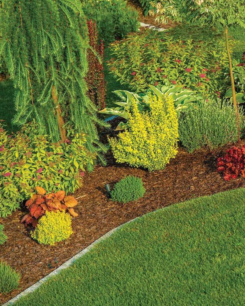 Mulch Makes Everything Easier