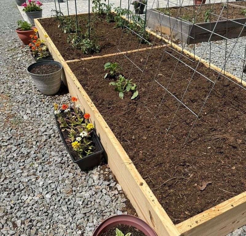 Cucumber Compost Booster