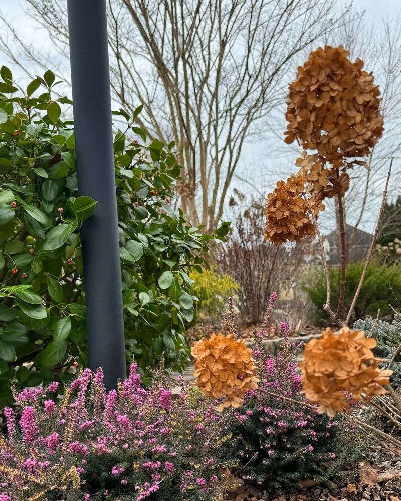 Overwintering Protection