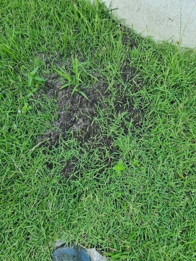 Ant Barrier Creation