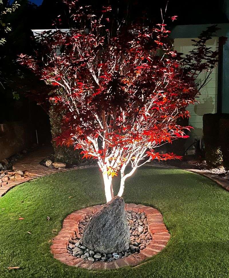 Dramatic Lighting Canvas