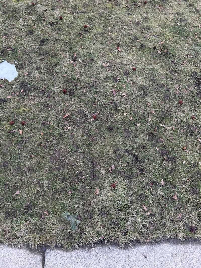 Nutrient-Rich Fertilizer