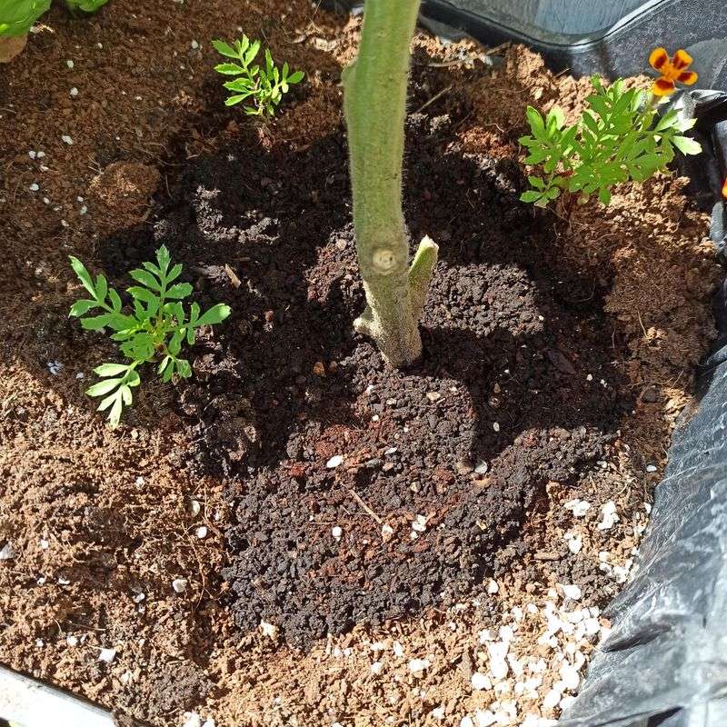 Water Retention Improvement