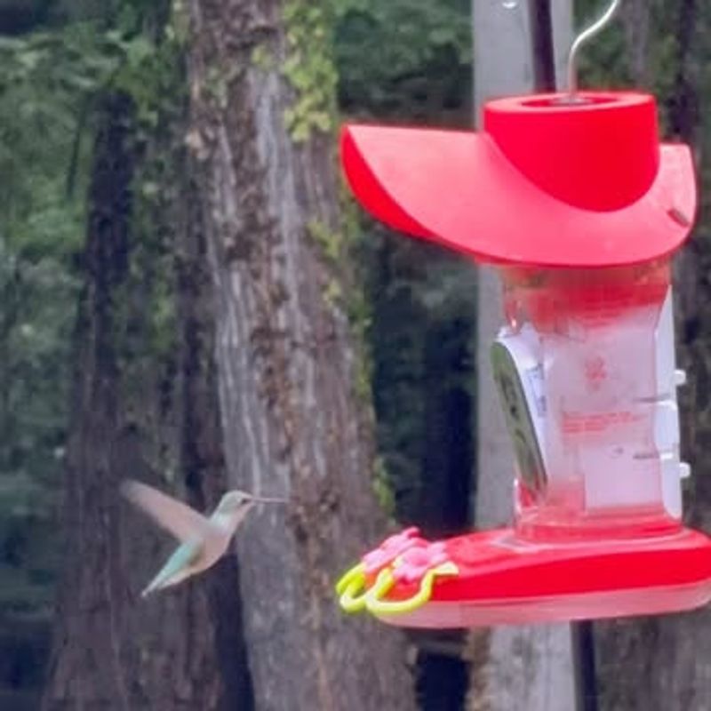 In High Wind Areas