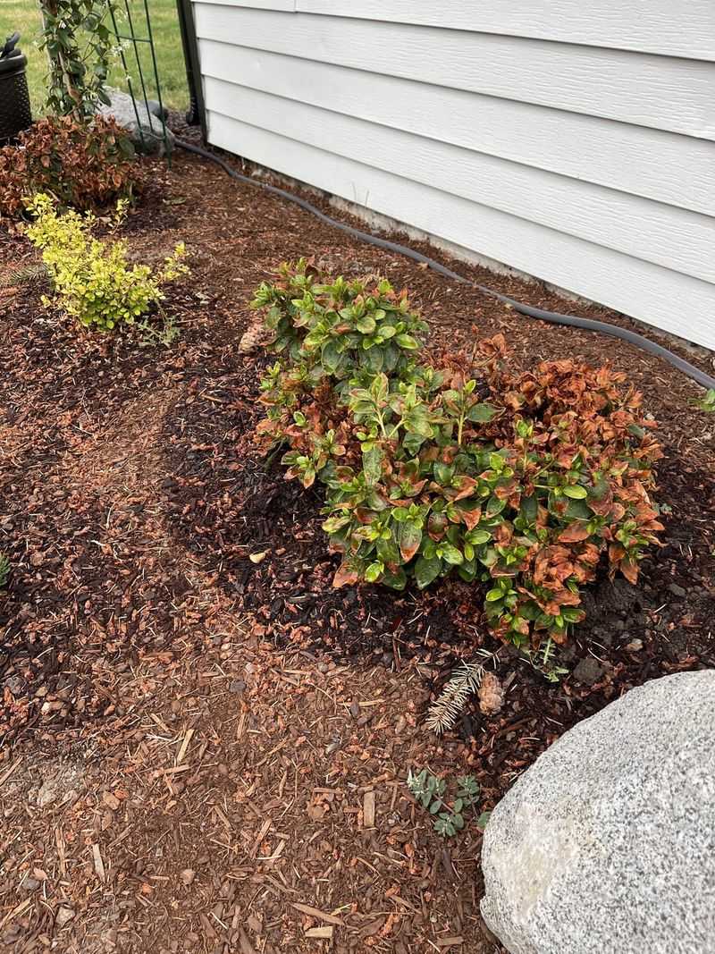 Windy, Exposed Areas