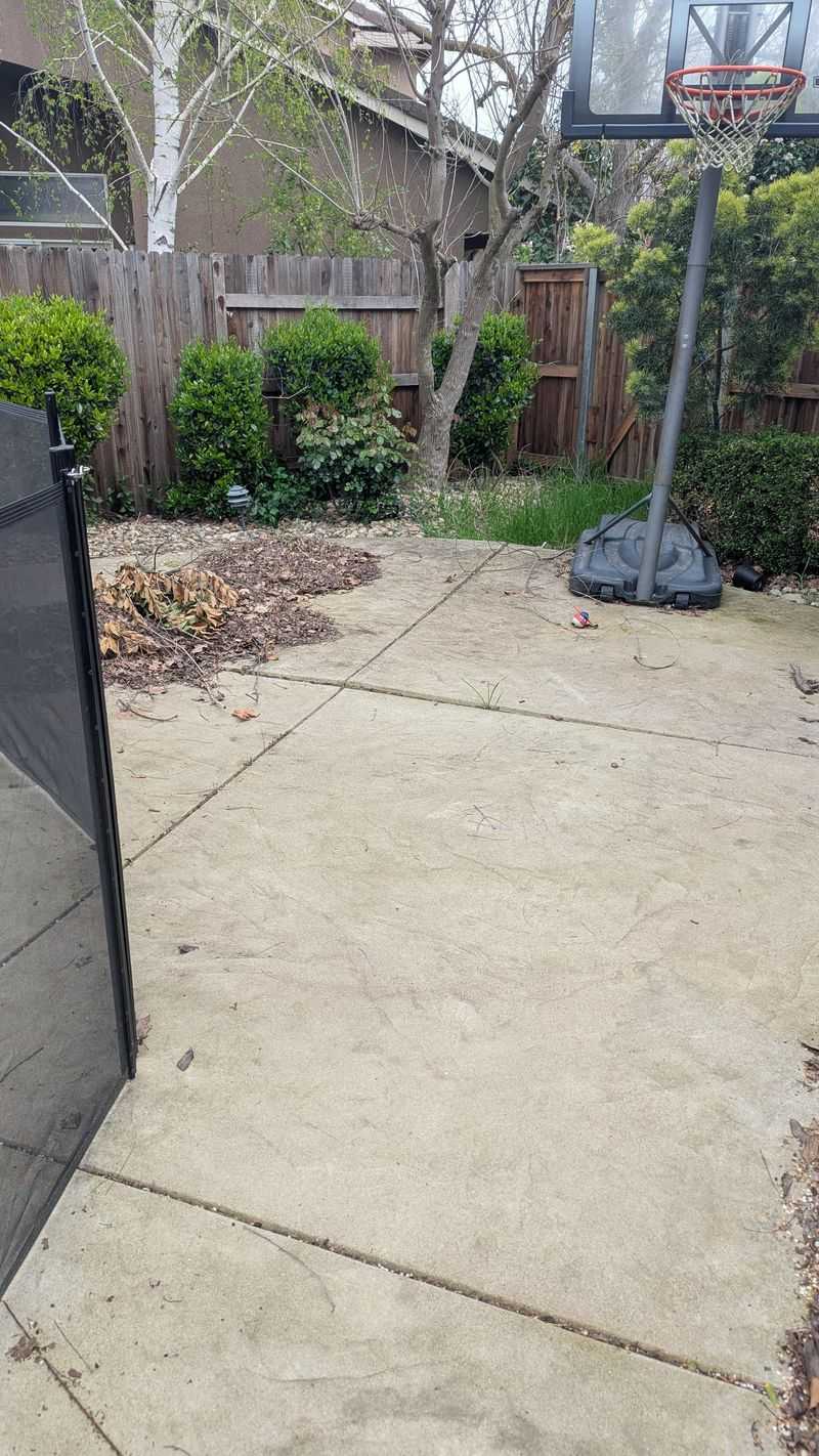Amateur Sports Courts