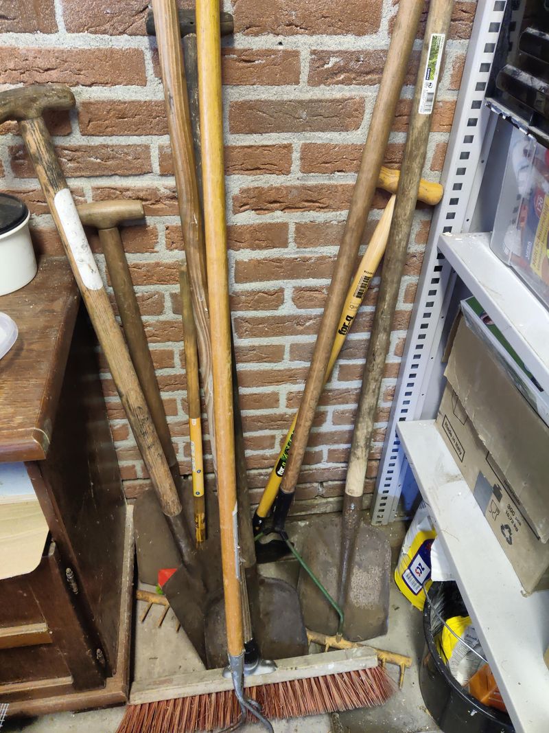 Scattered Yard Tools