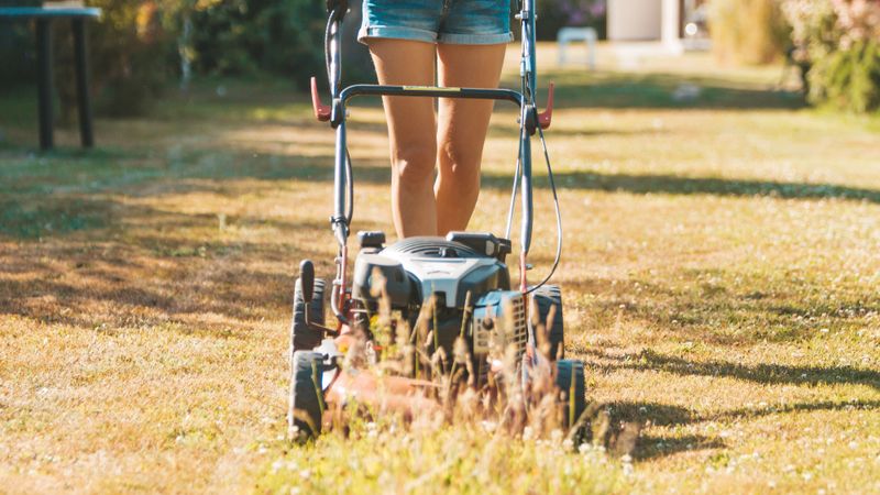 Mowing Bone-Dry Grass