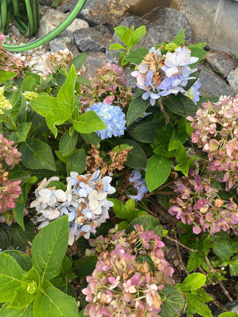 Skipping Deadheading