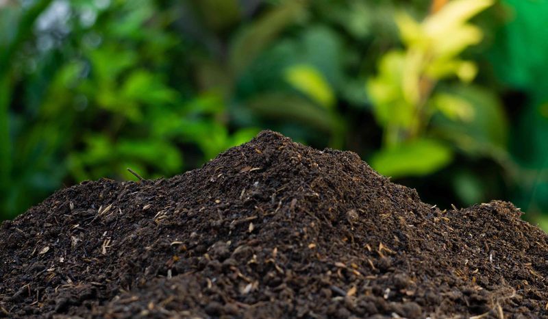 Non-Composted Organic Materials