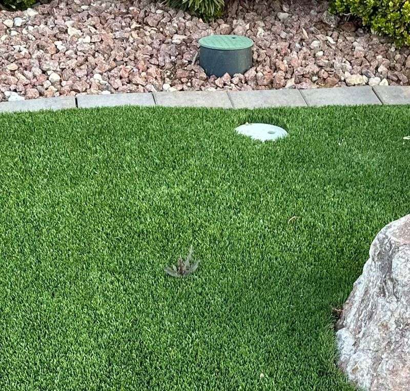 Artificial Turf Troubles