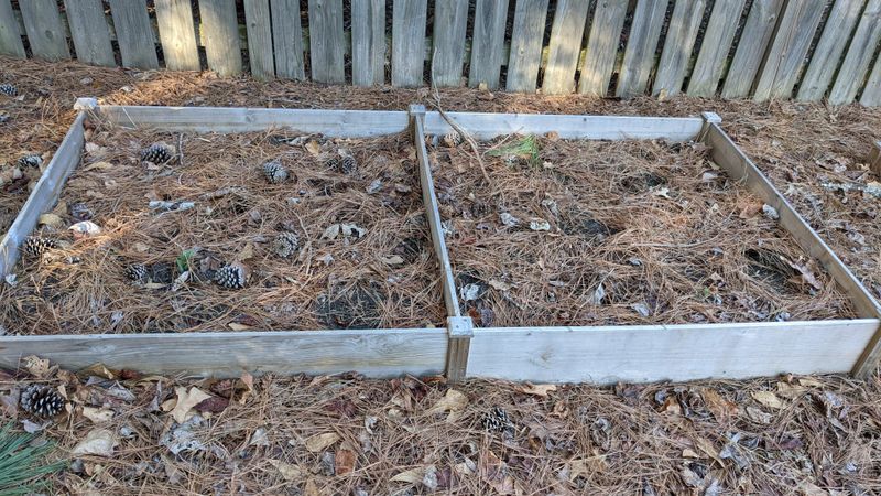 Raised Beds With Acidic Soil