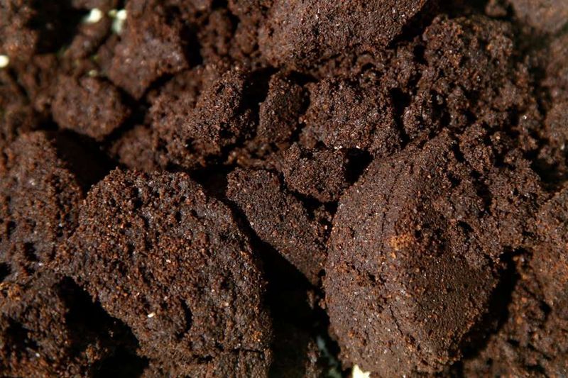Coffee Grounds