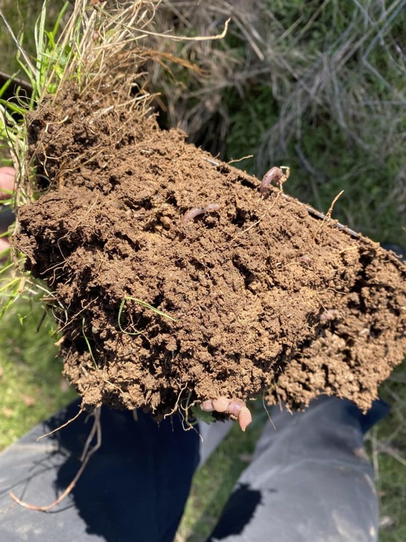 Improved Soil Structure