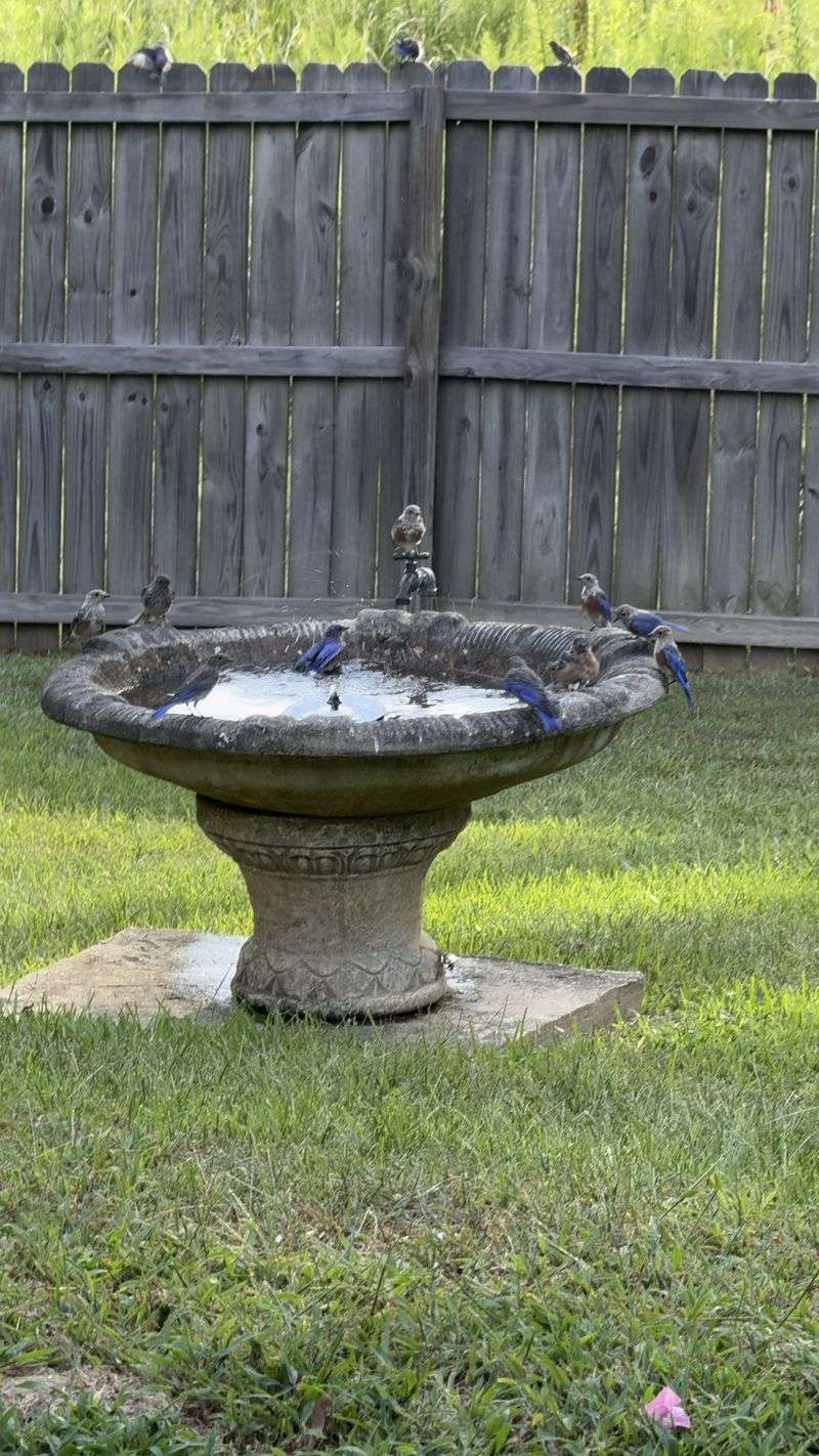 Provide Water Sources