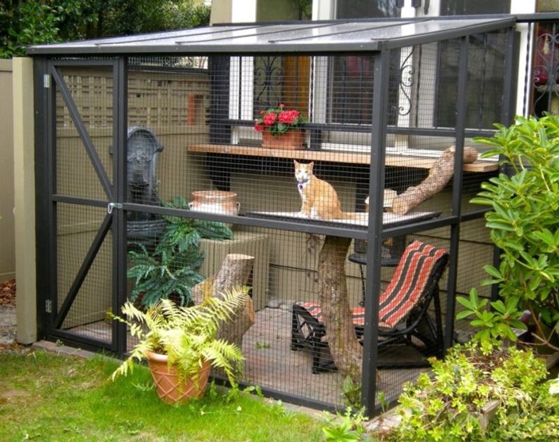 Keep Cats Indoors Or Supervised