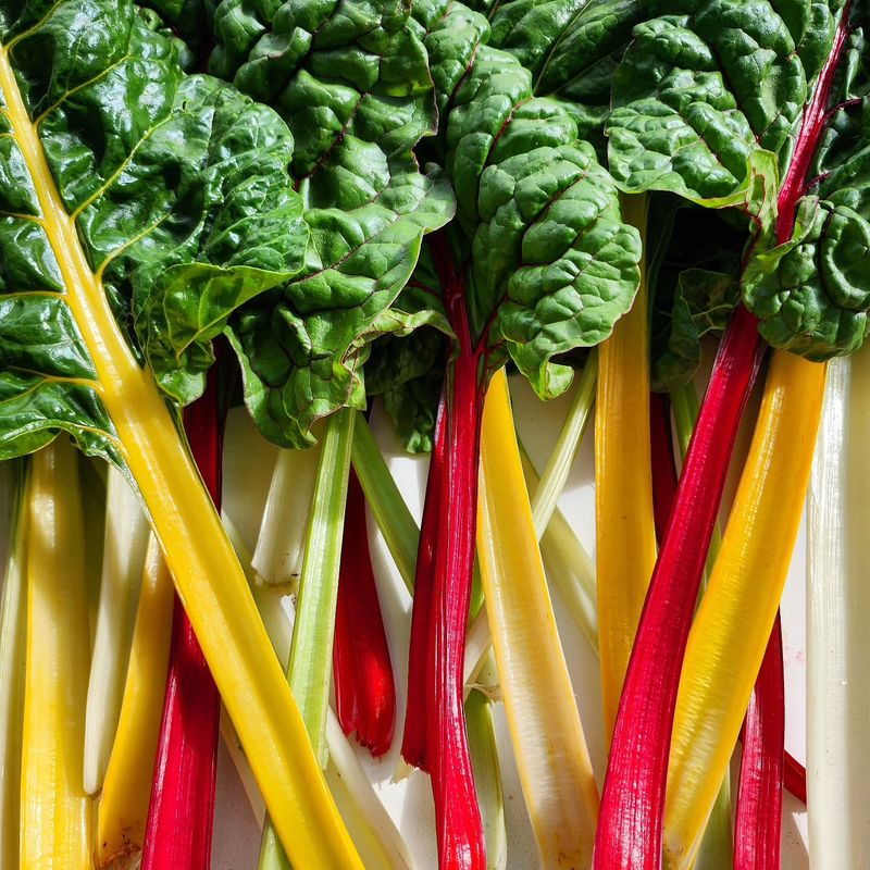 Swiss Chard
