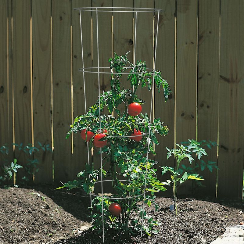 Wire Edges Damage Plant Stems