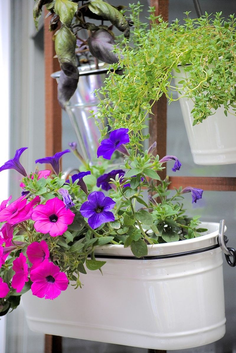 Upcycled Container Rainbow Garden