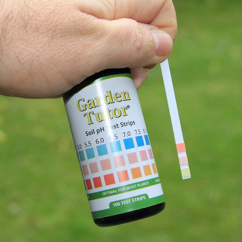 Electronic Soil Testers vs. Simple pH Strips