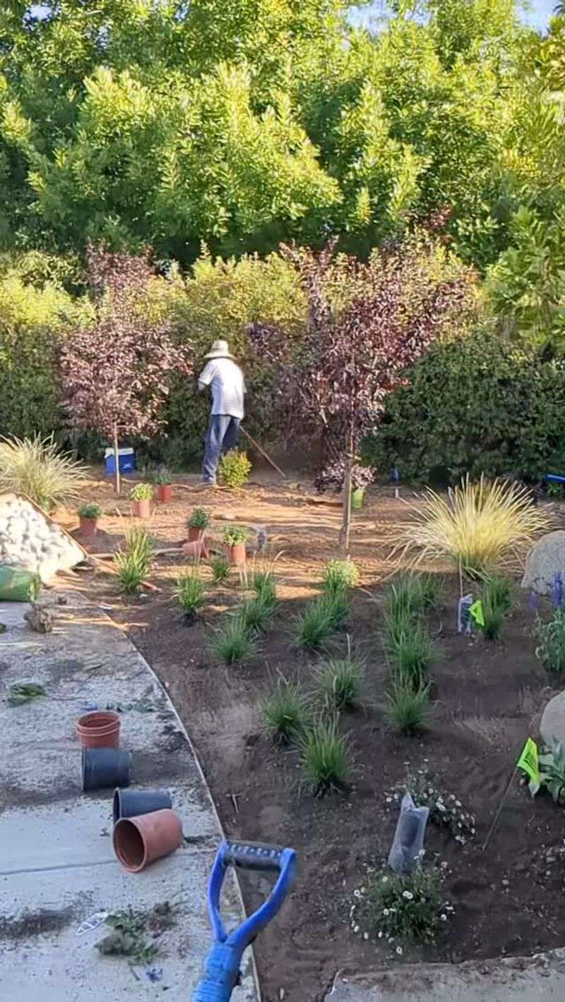 Fresh Soil