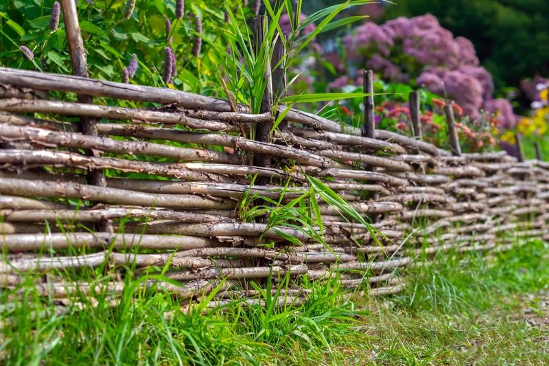Wattle Fencing
