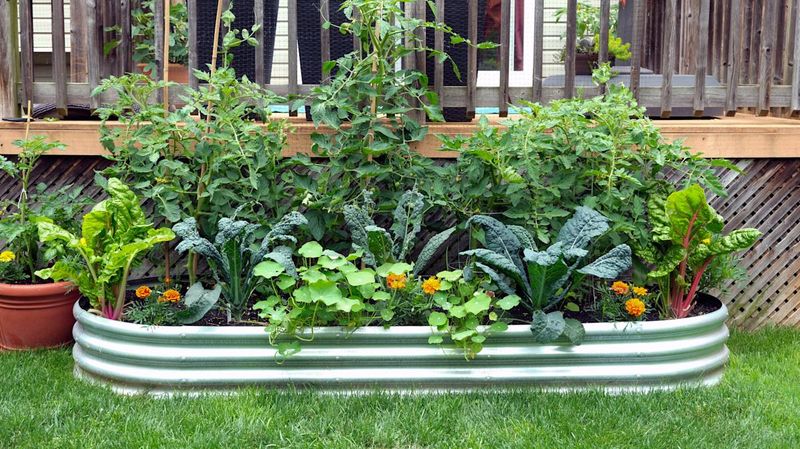 Over-Planted Perennial Beds