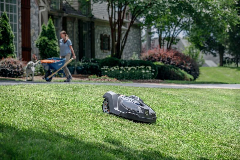 Lawn Robots Handle Mowing Automatically