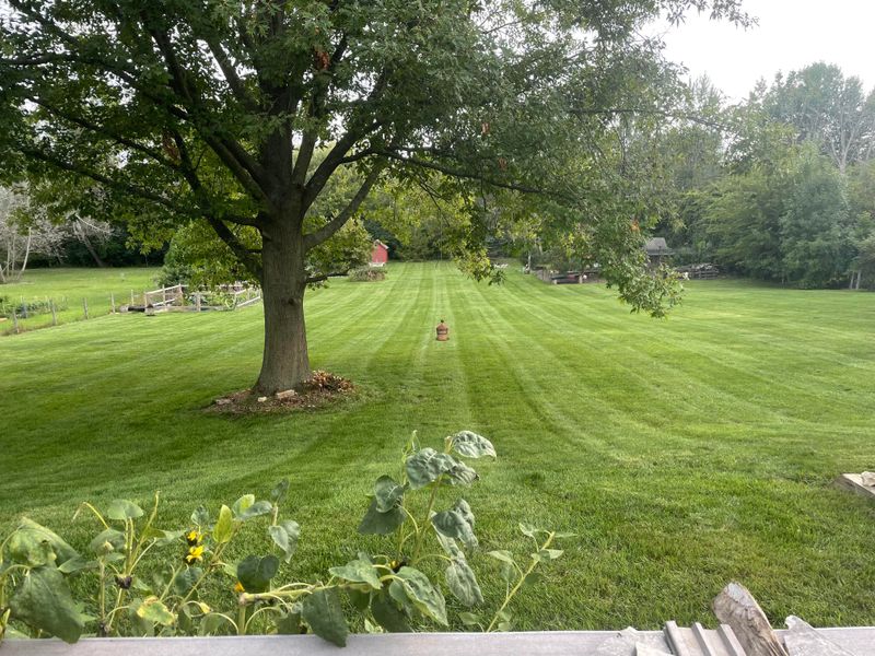 Chemical Pesticides and Herbicides