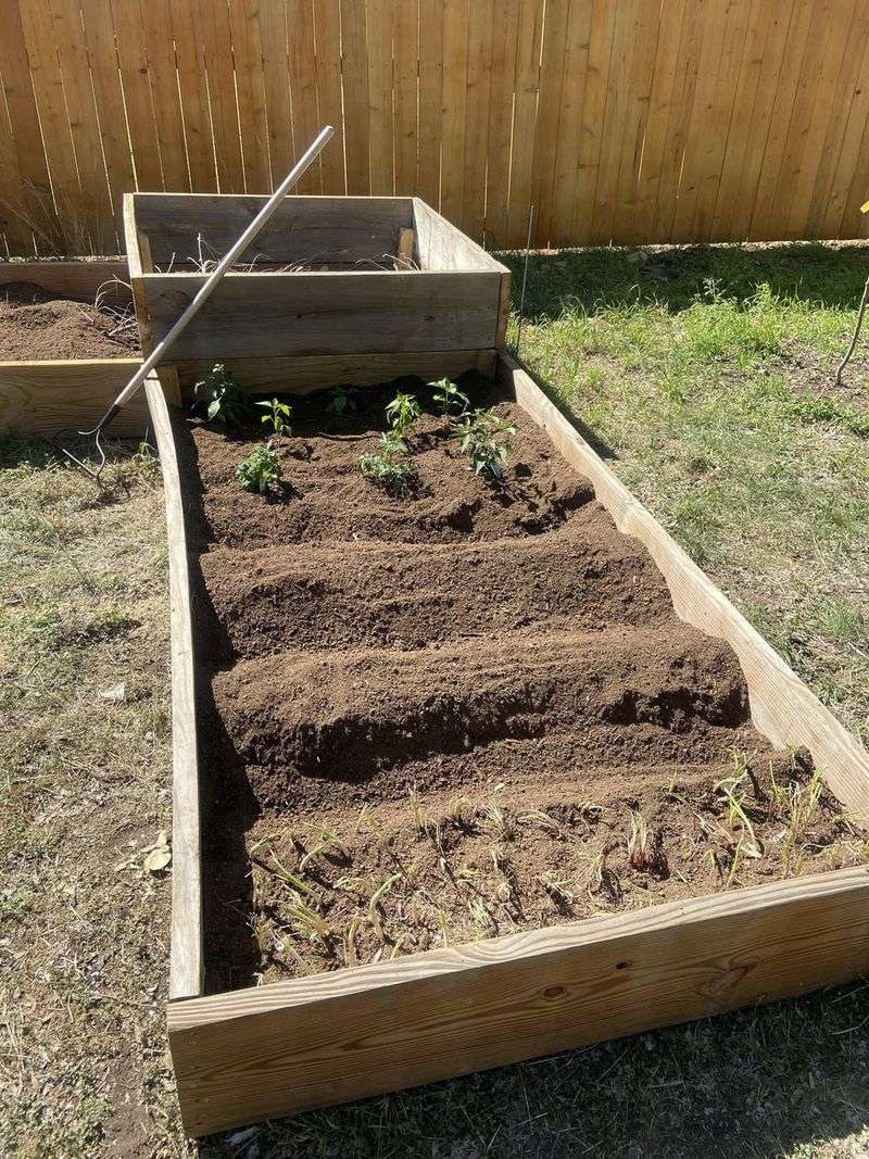 Wrong Planting Time