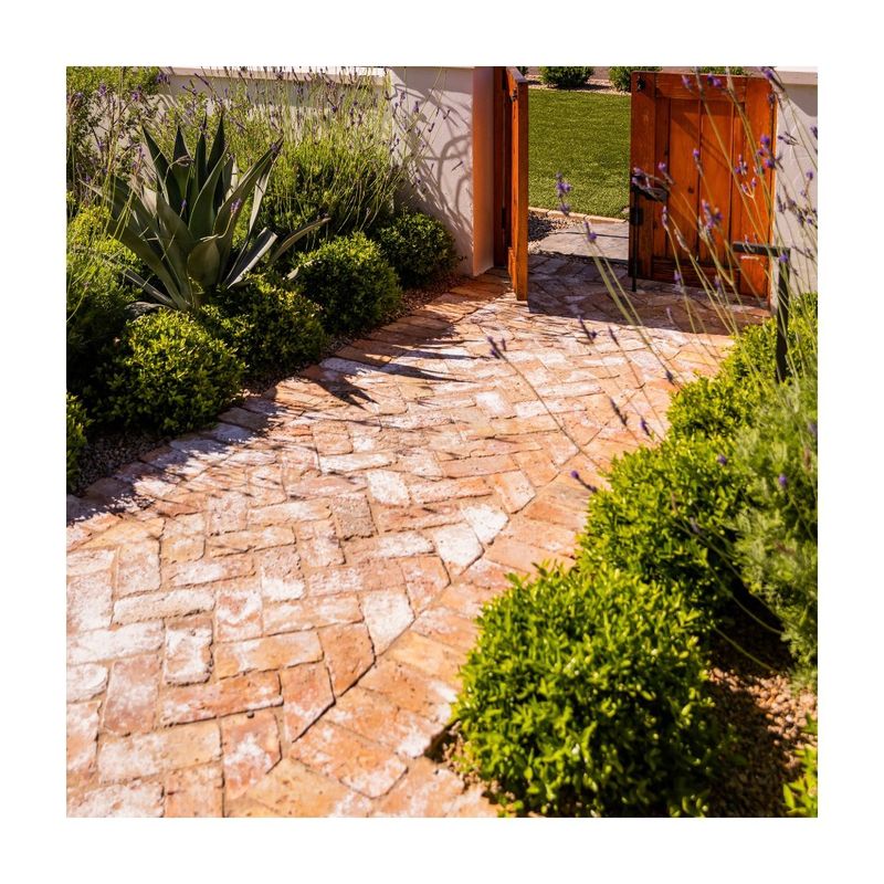 Intricate Paver Patterns