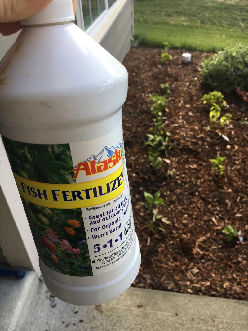 Fish Emulsion Fertilizer